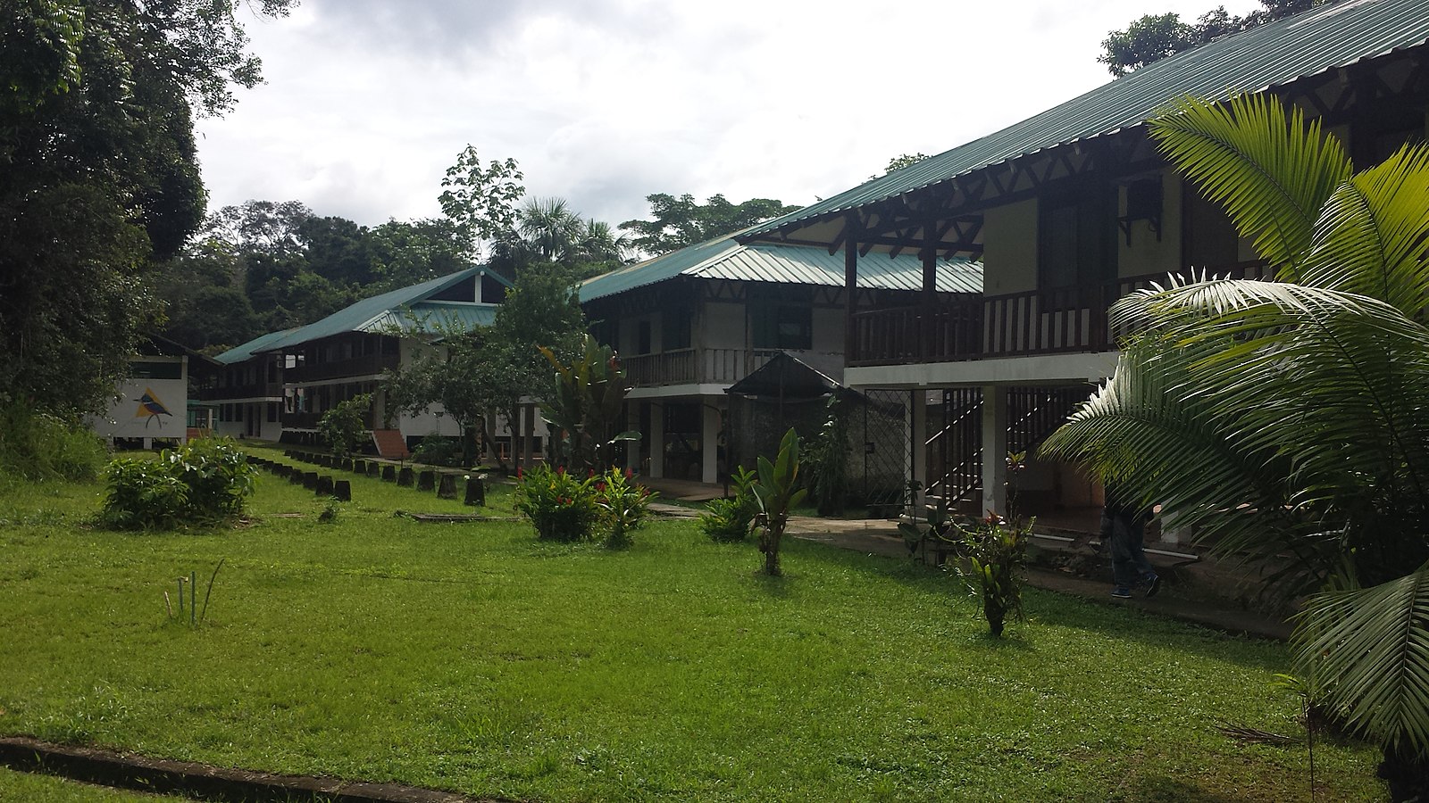 Accomodation we stayed at Yasuni National Park