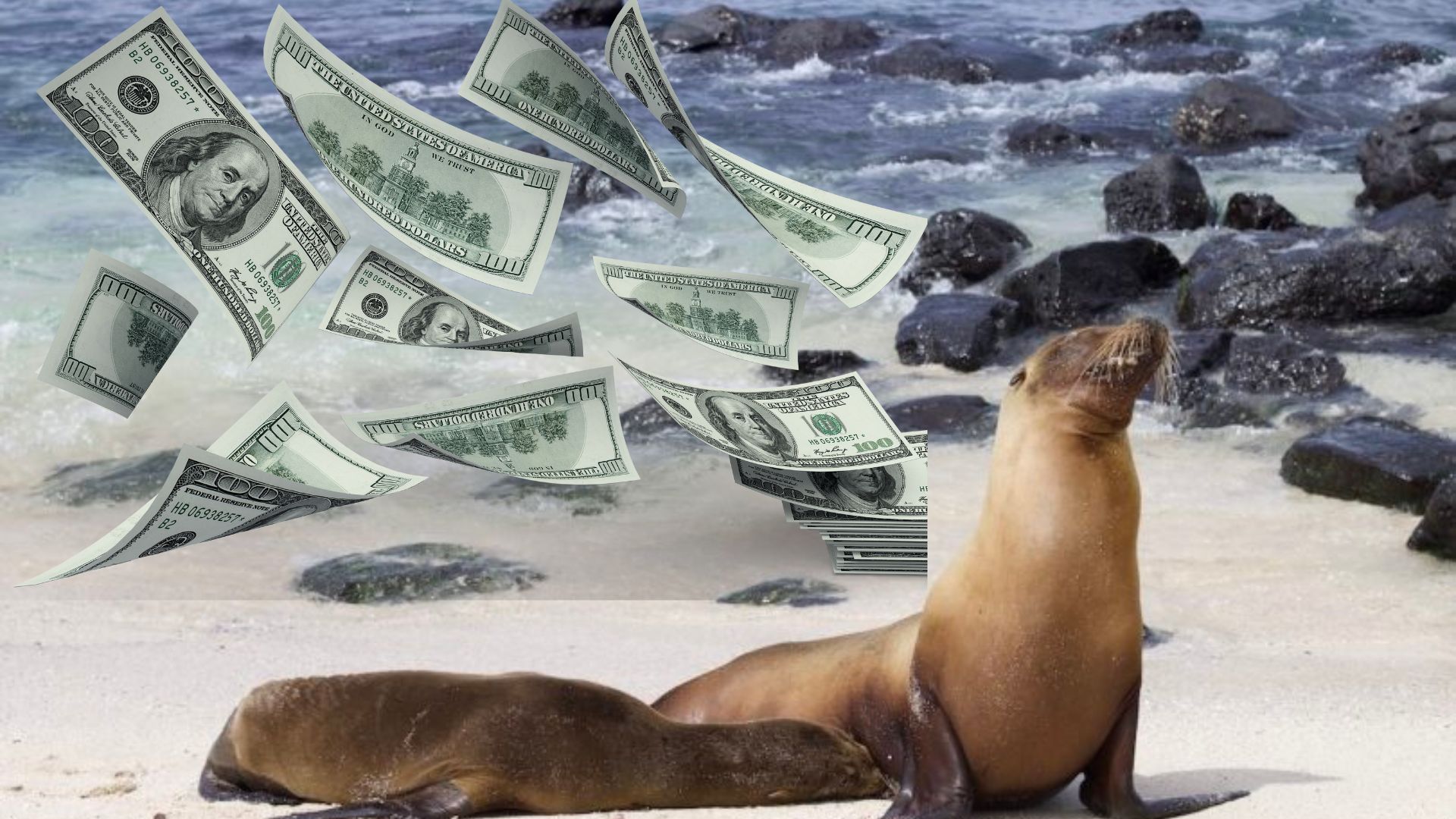 Bargeld auf den Galapagos-Inseln