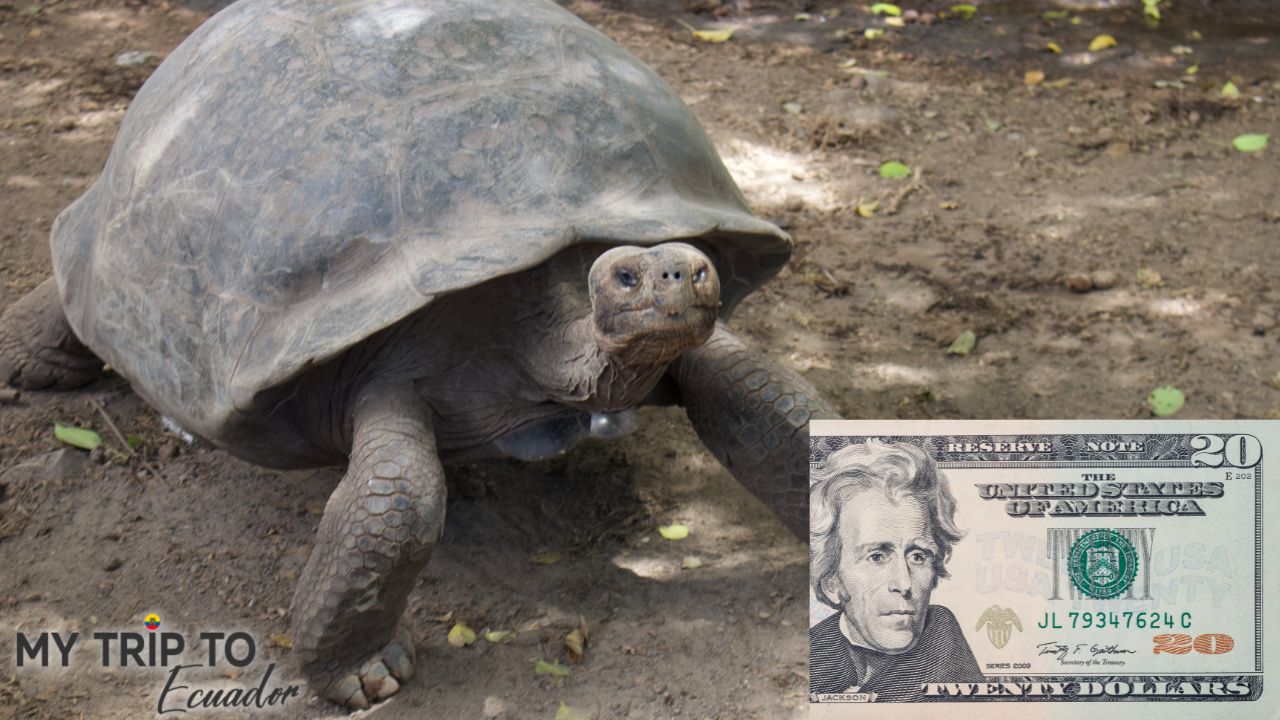 Währung verwendet auf den Galapagos-Inseln