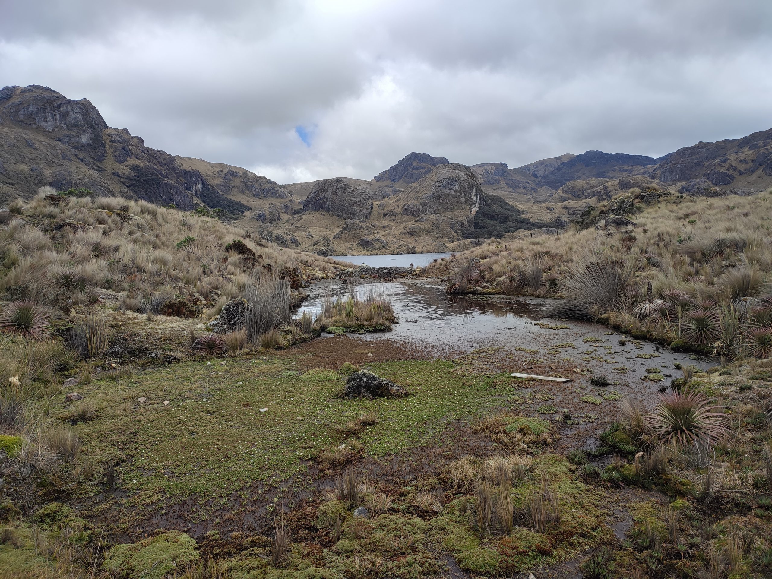 Nature beauty on El Cajas National Park
