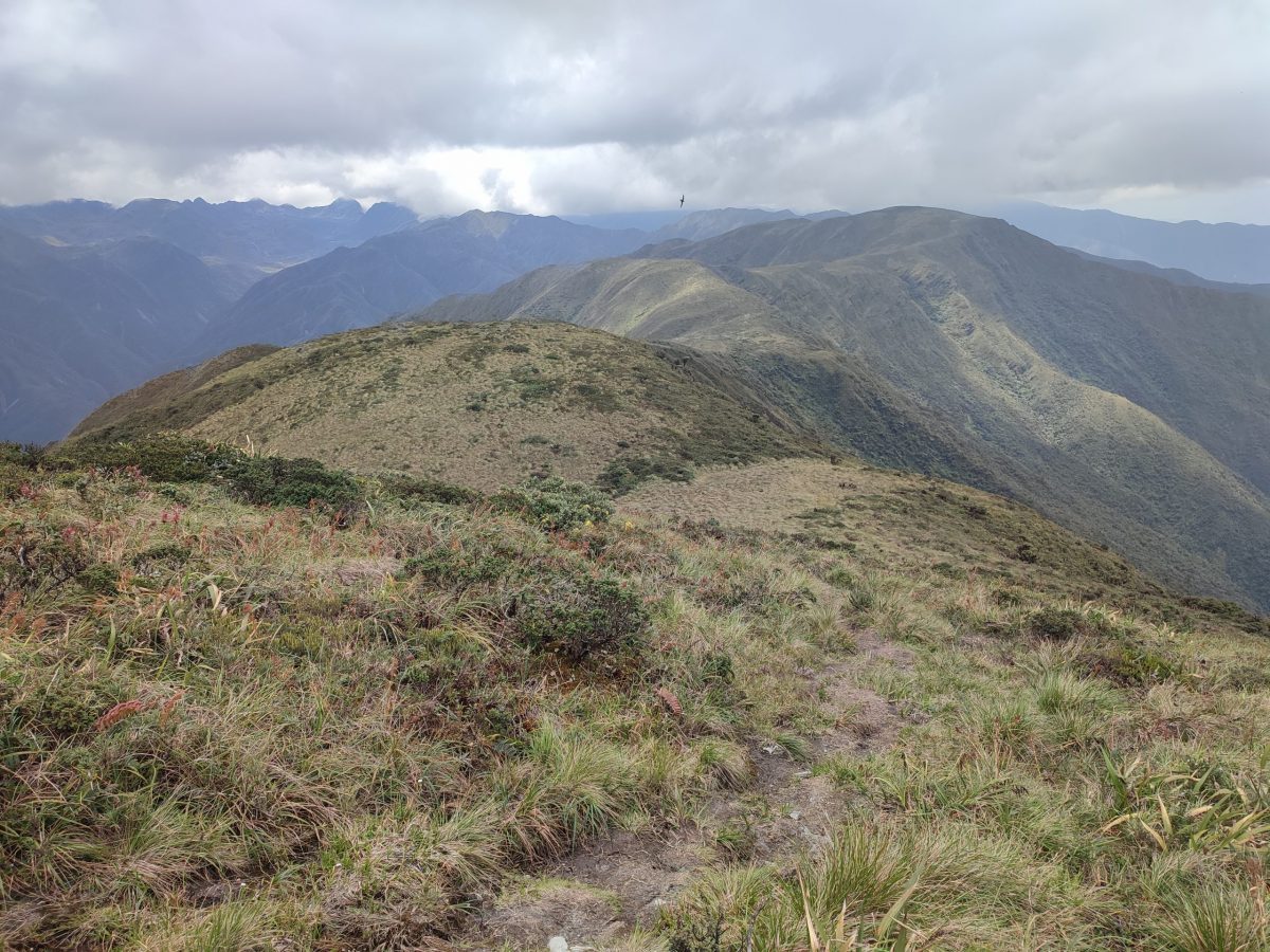 Una vista del Parque Nacional Podocarpus desde la cima
