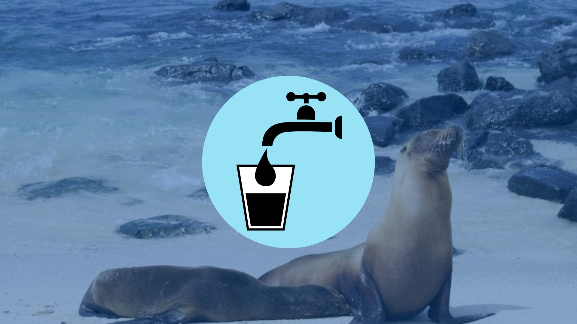 galapagos tapped water featured image